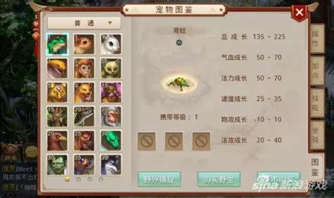问道宠物技能突破令 问道宠物技能突破令
