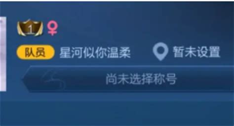 王者游戏空白名字复制粘贴不了