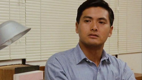 善商王子的资料