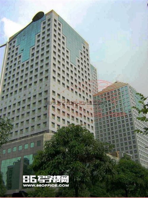 广州市体育东路属于哪个街道