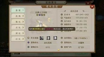 问道手游宠物怎么幻化及规则详细分析