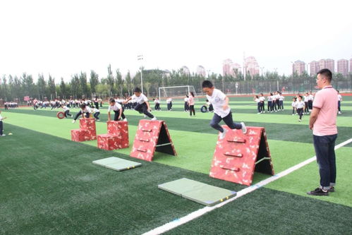 体育教师专业化名词解释