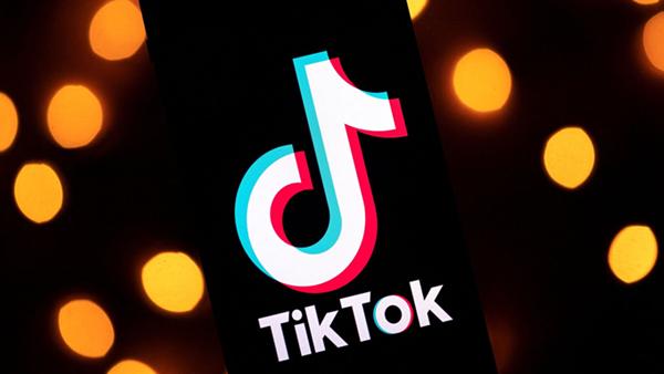 抖音国际版tiktok色板