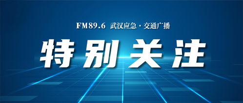 华纳大乱斗 社交媒体发布新内容 游戏或将重新上线 华纳大乱斗 社交媒体发布新内容 游戏或将重新上线