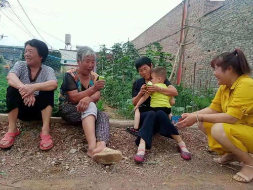 幸福生活 感党恩 随手拍作品展播② 总有一种时光,叫岁月静好