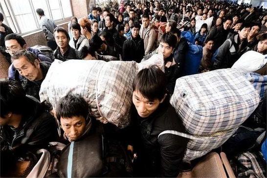 夏季赛风云变幻老林团队的新篇章与期望之旅