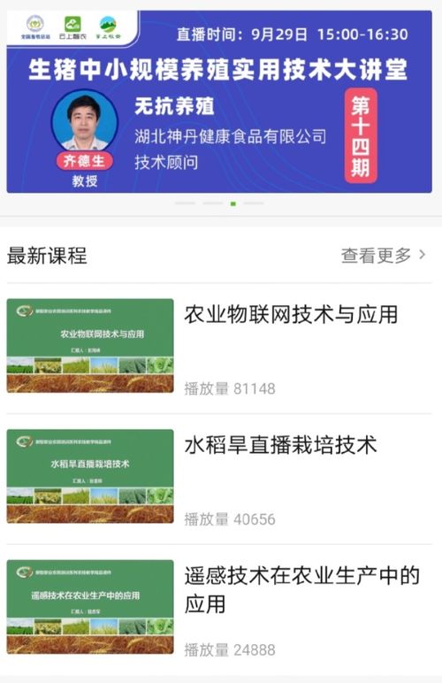 舒舒服服小岛时光休闲种田游戏新星