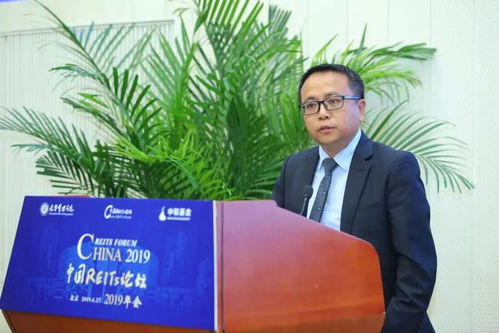 北大张峥保障性租赁住房计划
