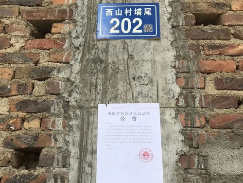 医疗行业新品发布黄金树幽影月号