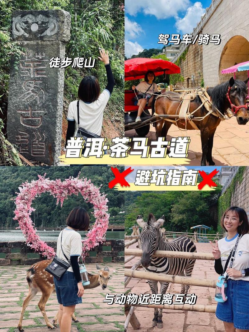 1.掌握基础技能