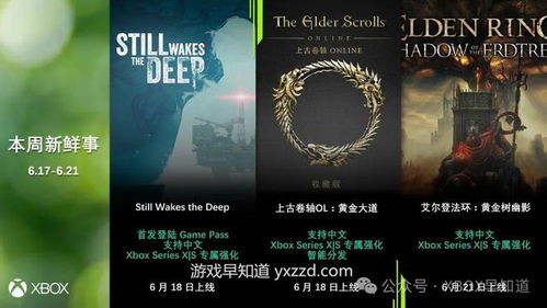 艾尔登法环杂谈探索黄金树之影的深层意义与评价走低的原因

教学目标
1.**理解背景知识**学生能够掌握艾尔登法环的基本背景、故事情节和主要角色。
2.**分析评价走低的原因**学生能够分析和讨论“黄金树之影”好评走低的可能原因，包括游戏设计、玩家体验和市场反应。
3.**批判性思维**培养学生对游戏
