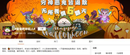 金海豚之梦