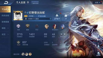 【排面MAX】个人界面放这四款皮肤,不是大神就是土豪,艾琳都哭了! 【排面MAX】个人界面放这四款皮肤,不是大神就是土豪,艾琳都哭了!