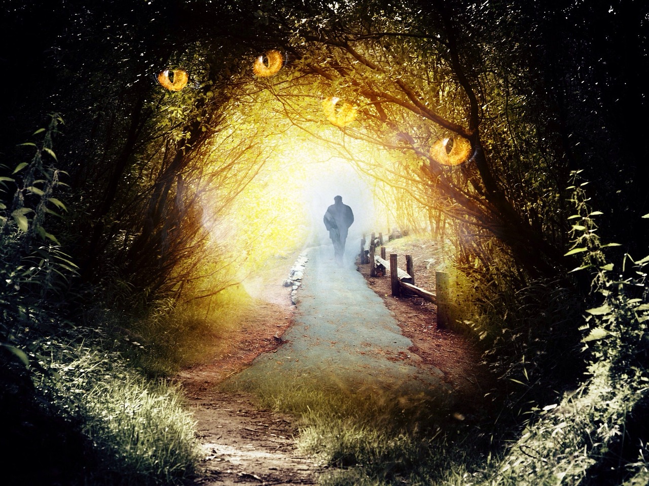 幻冥界之命运V，终章——破晓的逆旅，暗黑世界的新篇章