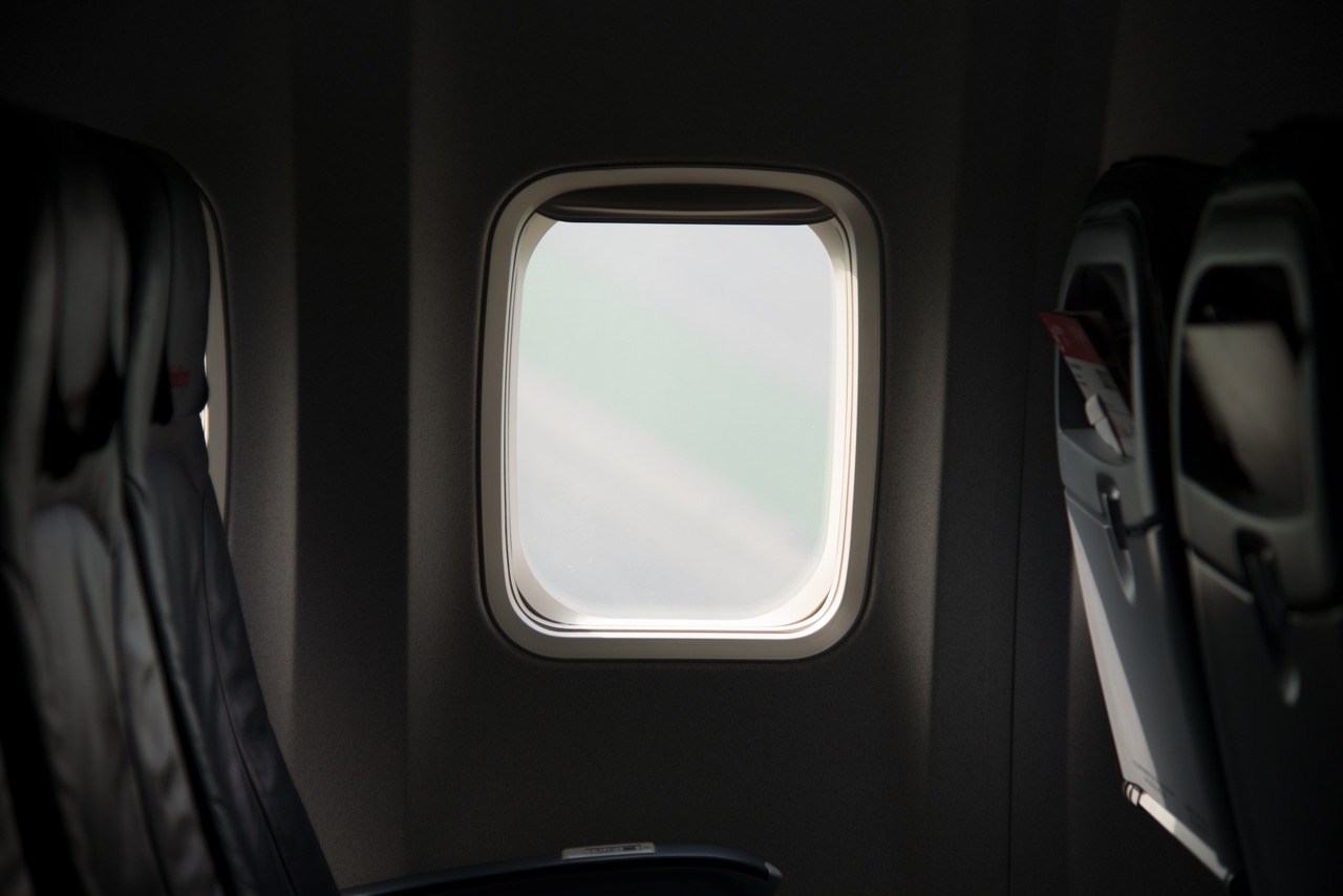 成都坐飞机,宠物也能进客舱,新政策下的温馨之旅我十二岁就不干净了作文小说 成都坐飞机,宠物也能进客舱,新政策下的温馨之旅我十二岁就不干净了作文小说