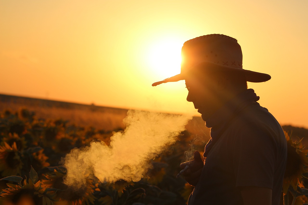 直到死亡将我们分开,一款融入生死哲学的独立冒险游戏 直到死亡将我们分开,一款融入生死哲学的独立冒险游戏
