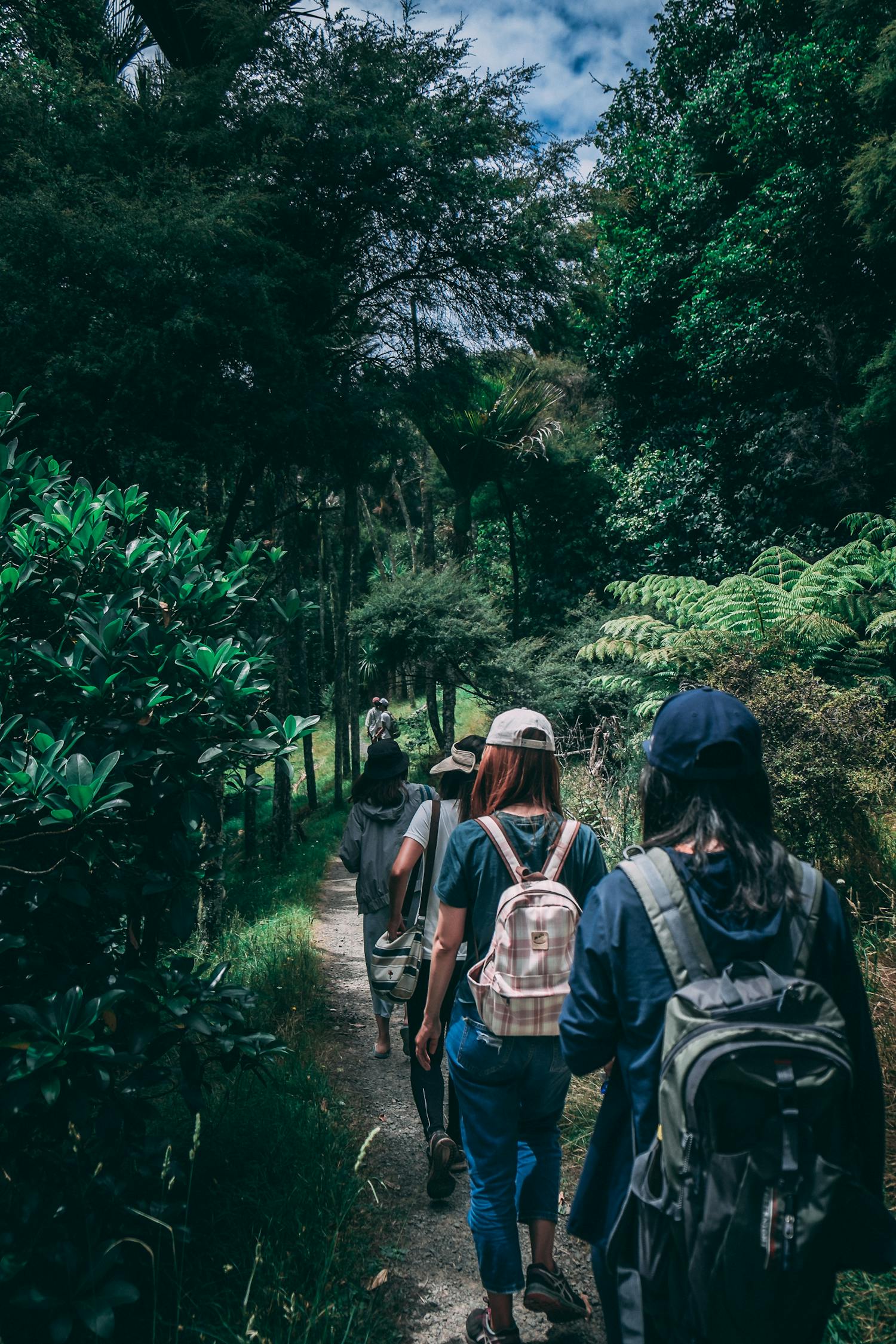 迷途手游，探索未知世界的冒险之旅